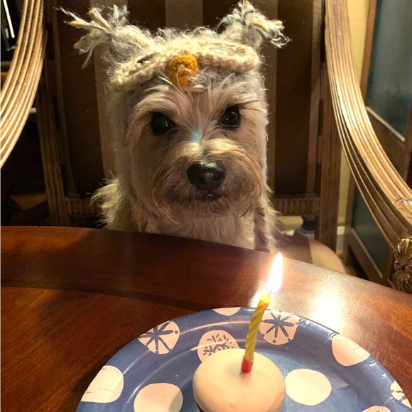 A little about me. - Picture 5 of 16